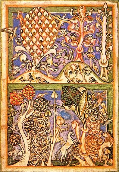 arbres de vie, codex buranus, XIII siècle