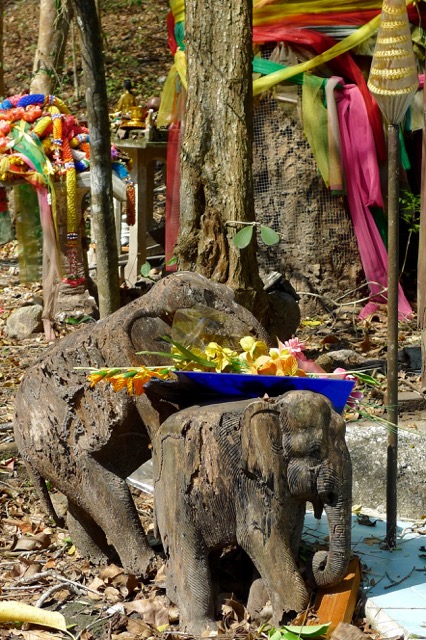 ratchaburi arbre sacré:2 (1)